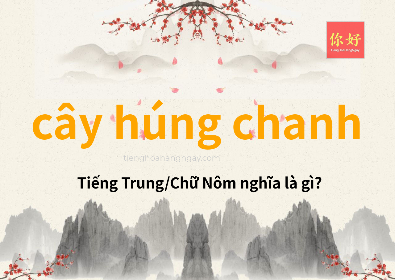 cây húng chanh tiếng Trung là gì?